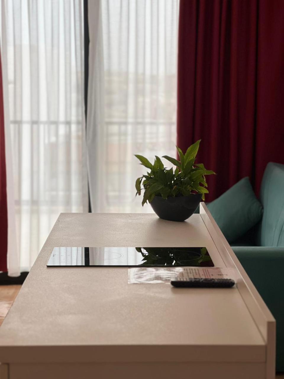 Studio Terrace