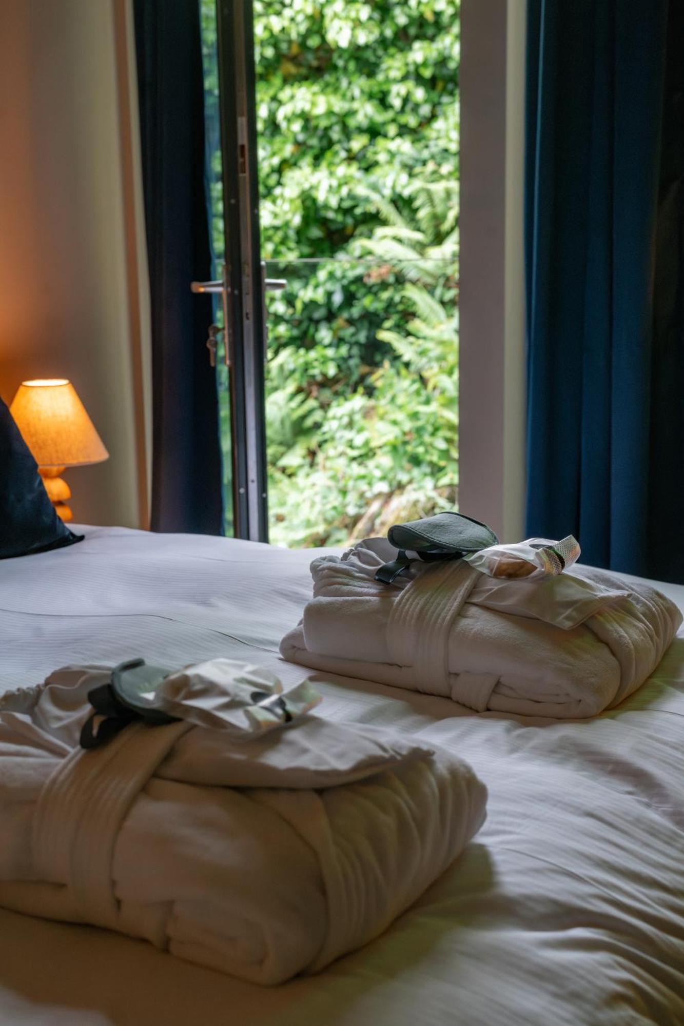 Deluxe Double or Twin Room Garden View