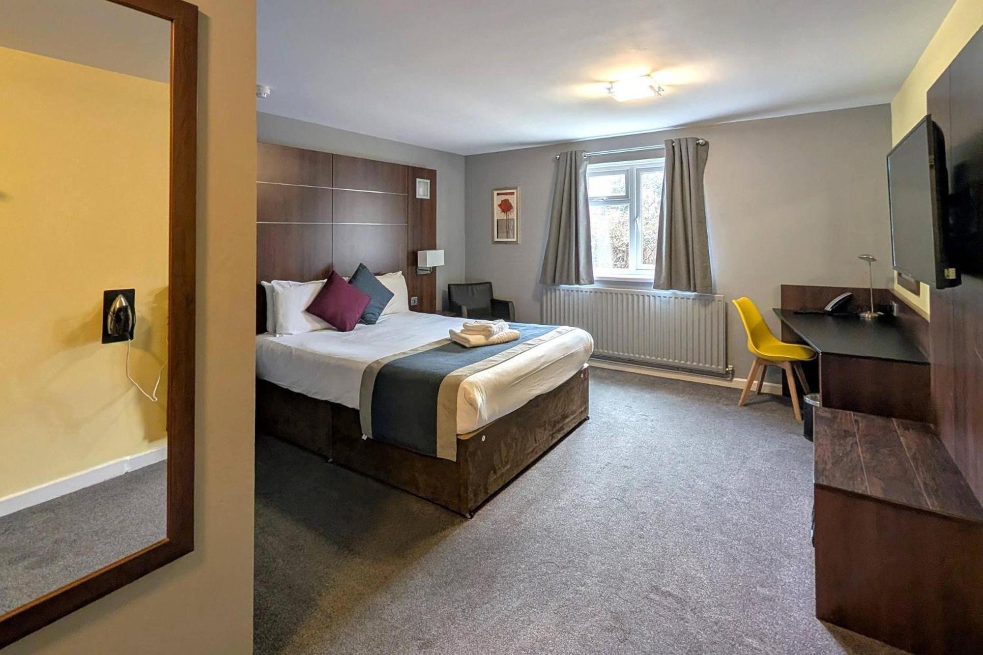 King Room