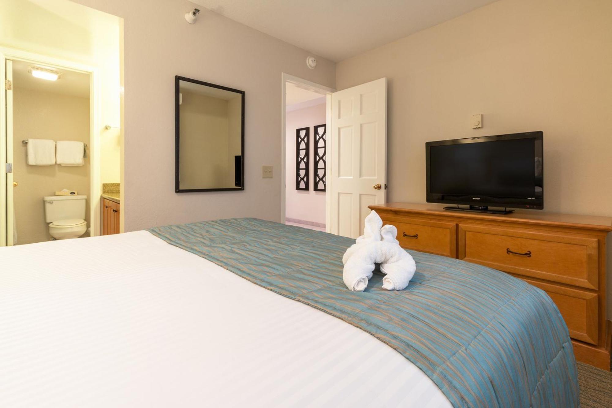 Appartement 1 Chambre