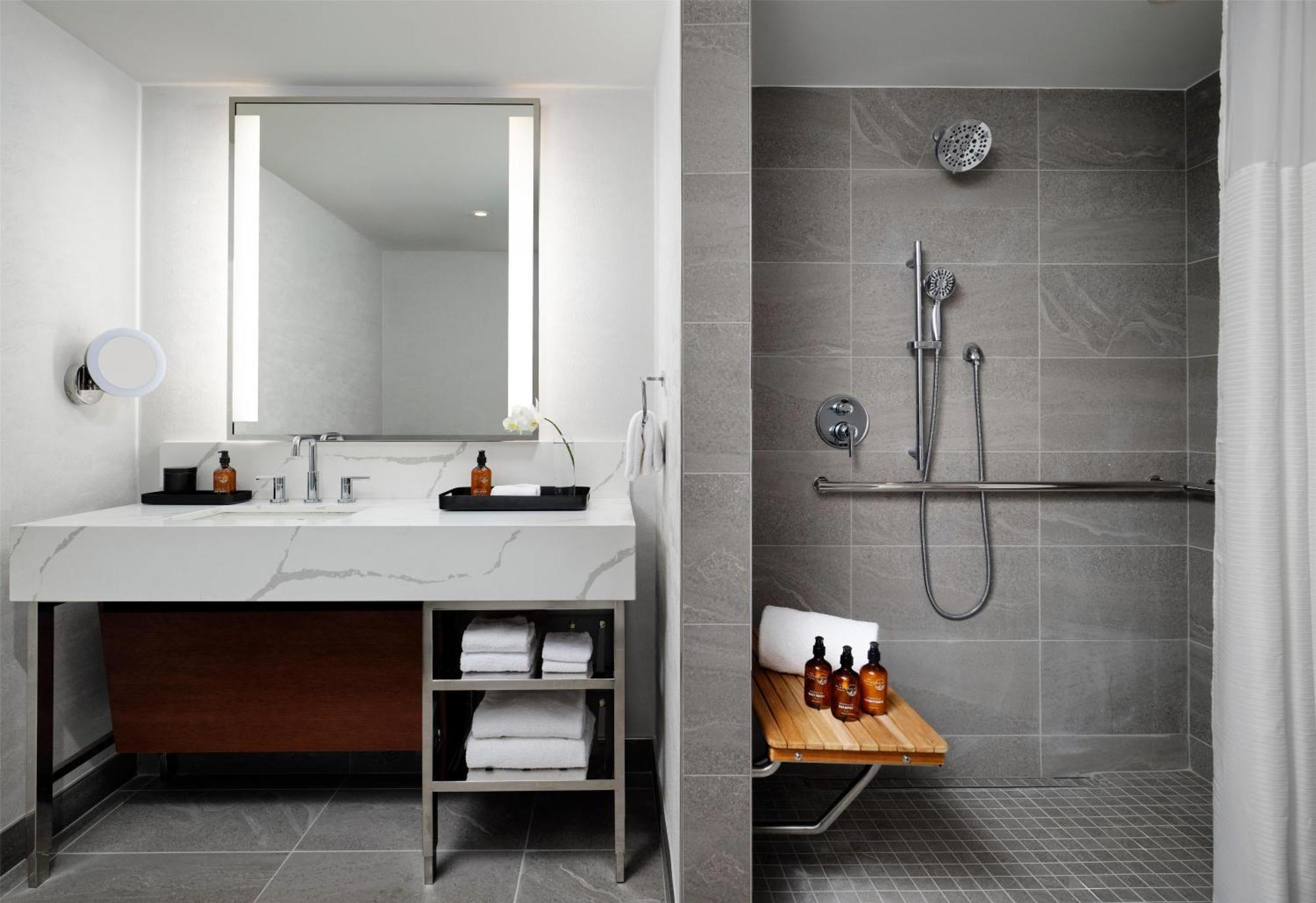 Deluxe King Room Roll Shower Mobility Access