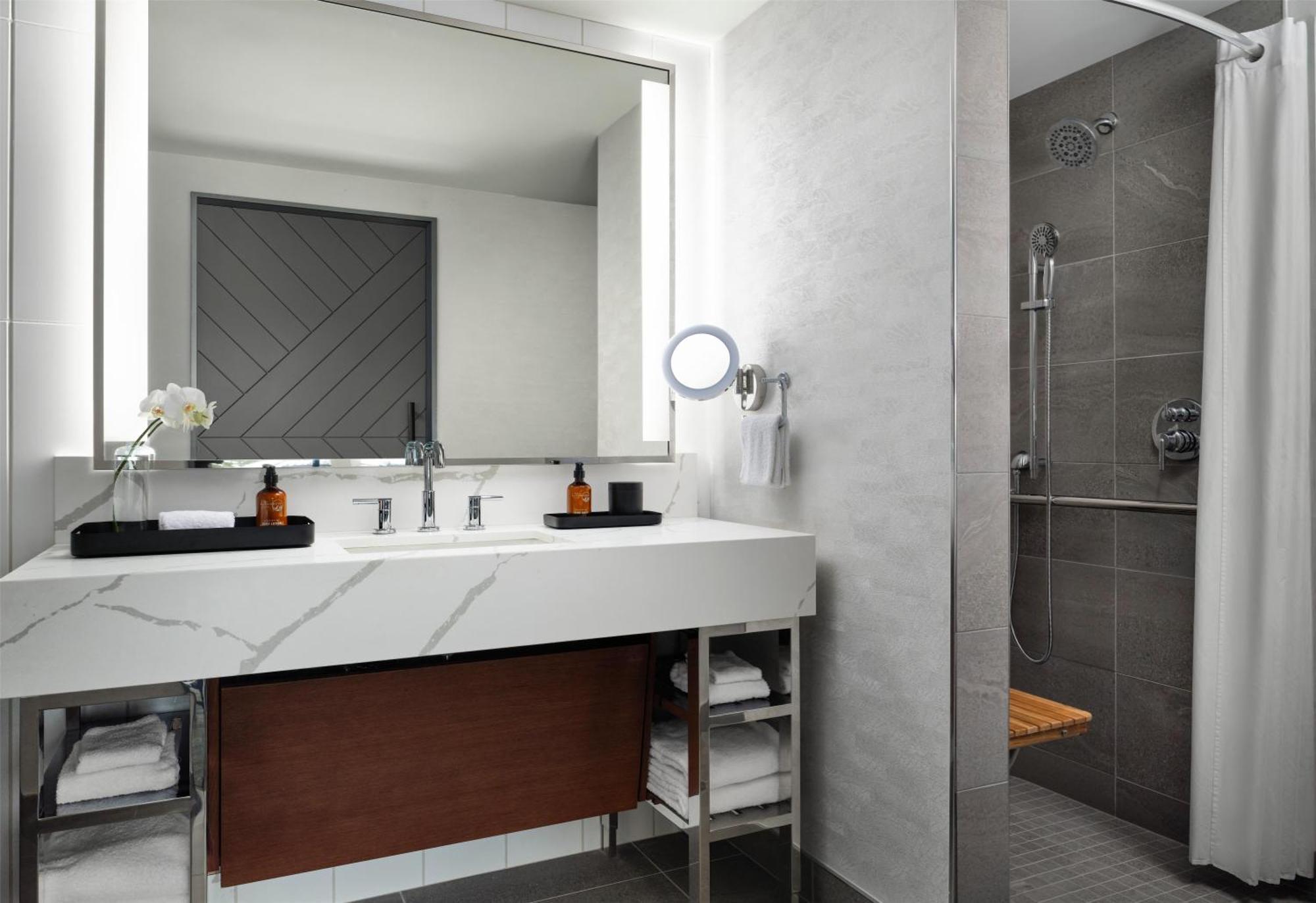 Deluxe King Room Roll Shower Mobility Access