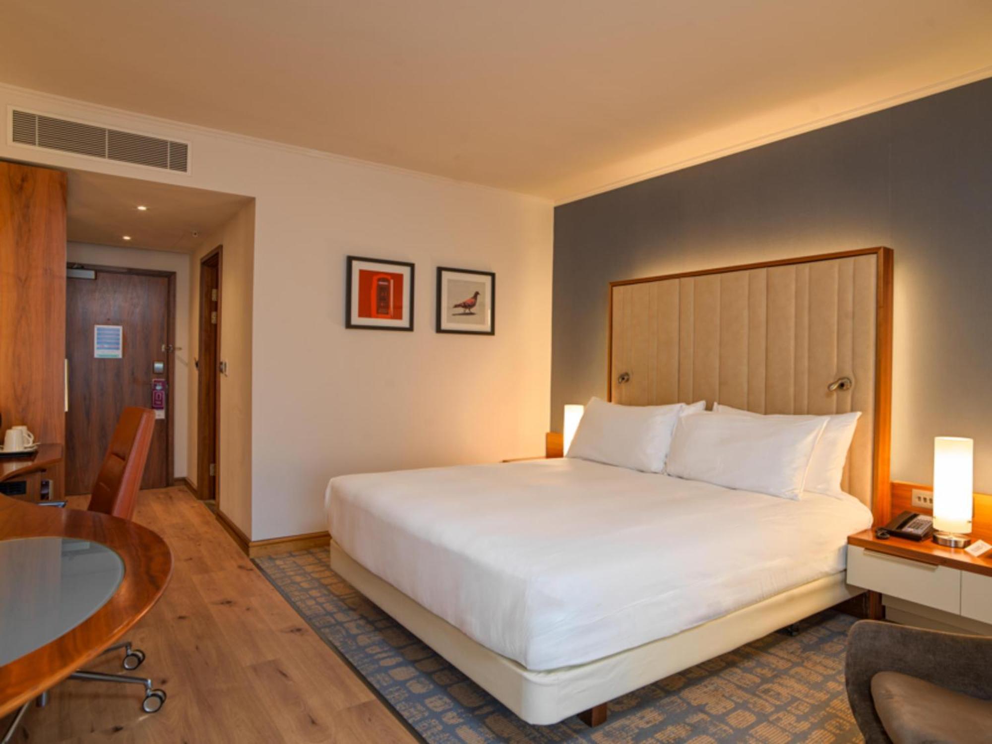 King Guest Room