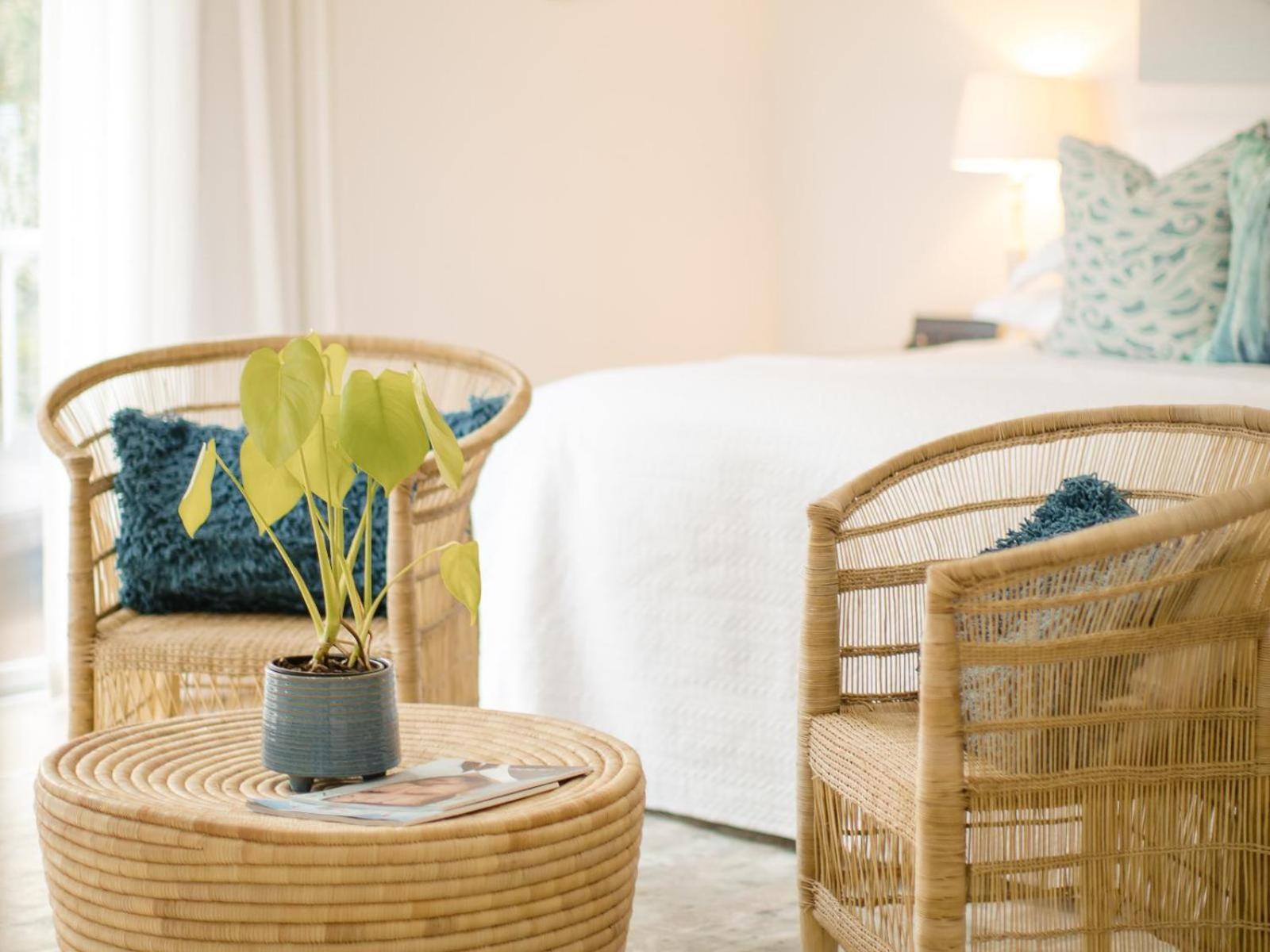 Pansy Shell Suite