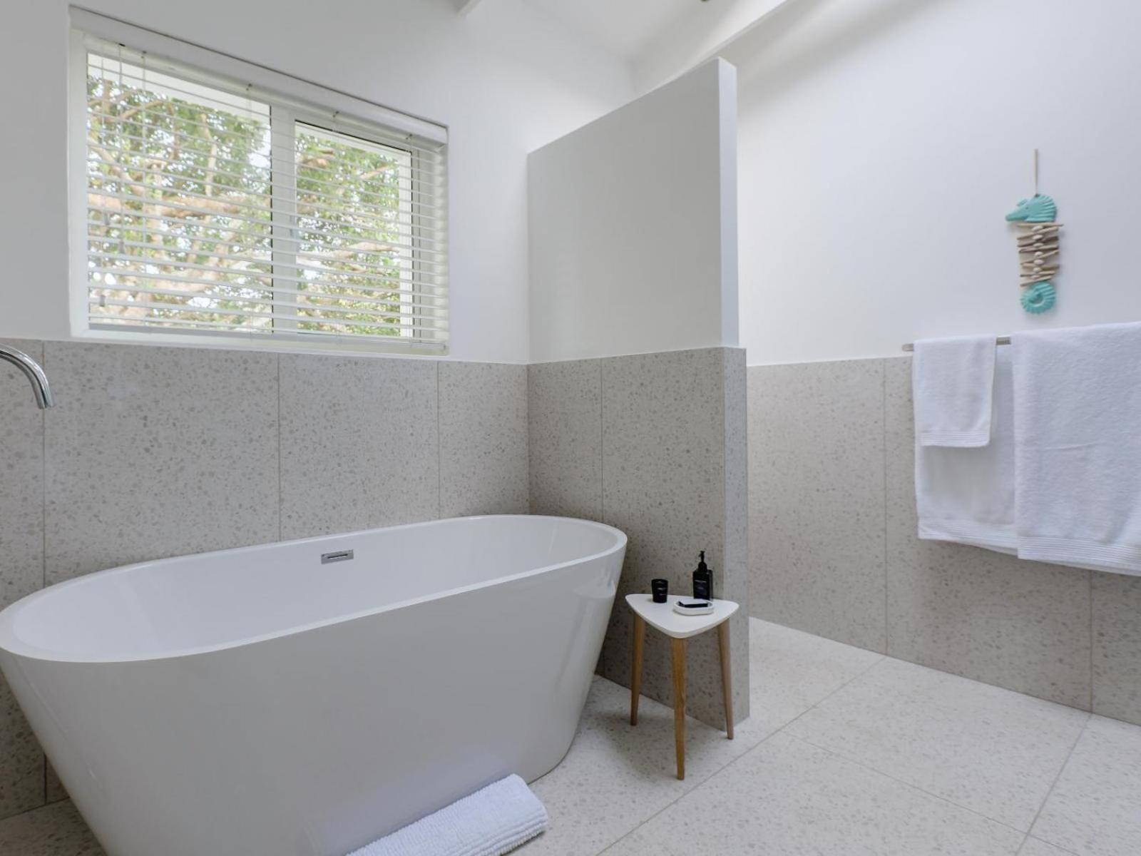 Pansy Shell Suite