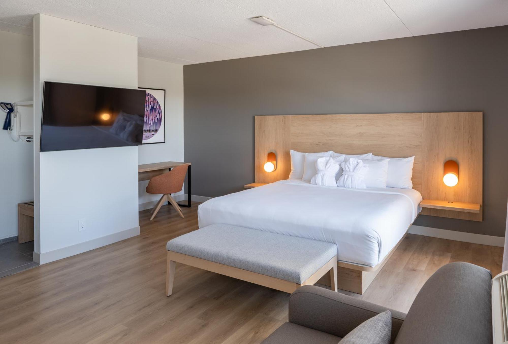 Executive King Suite