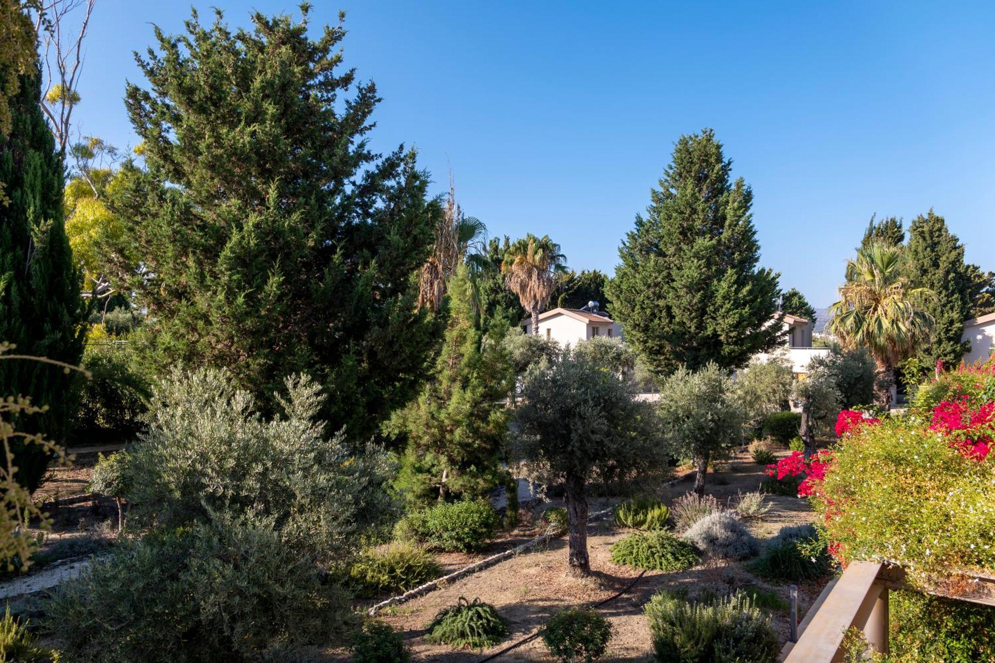 Twin Room Garden View
