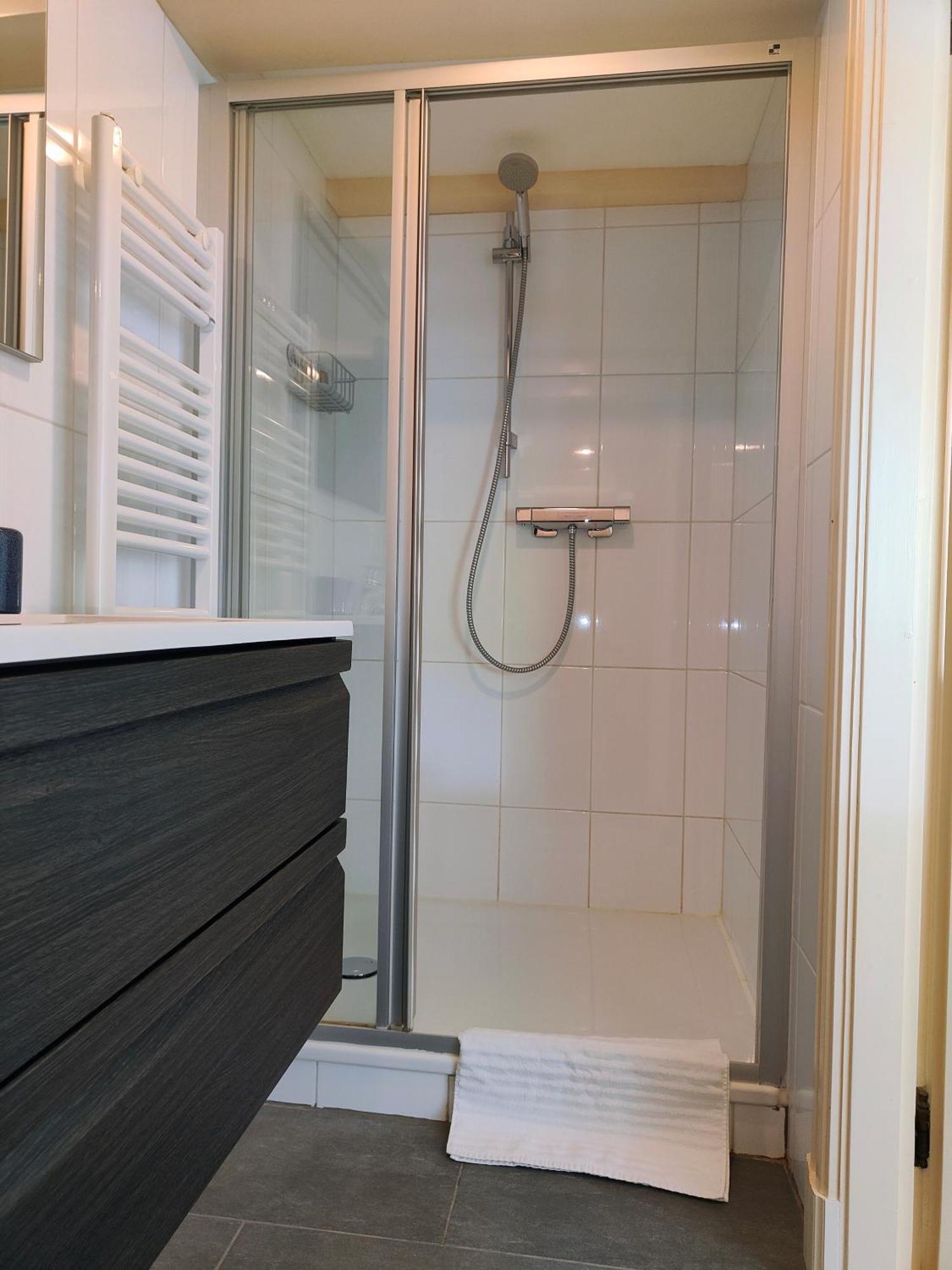 Deluxe Double Room Shower
