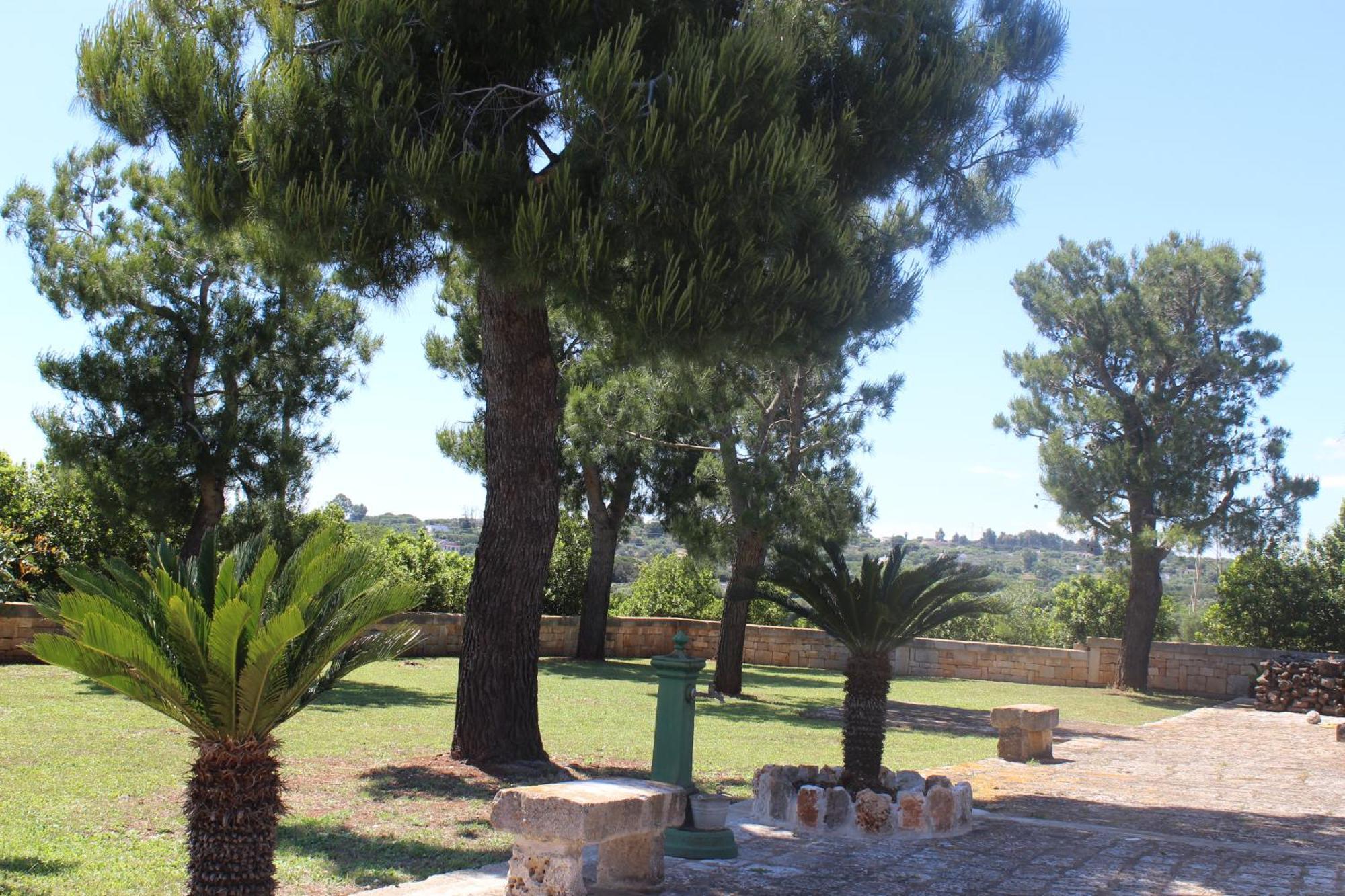 Queen Room Garden View