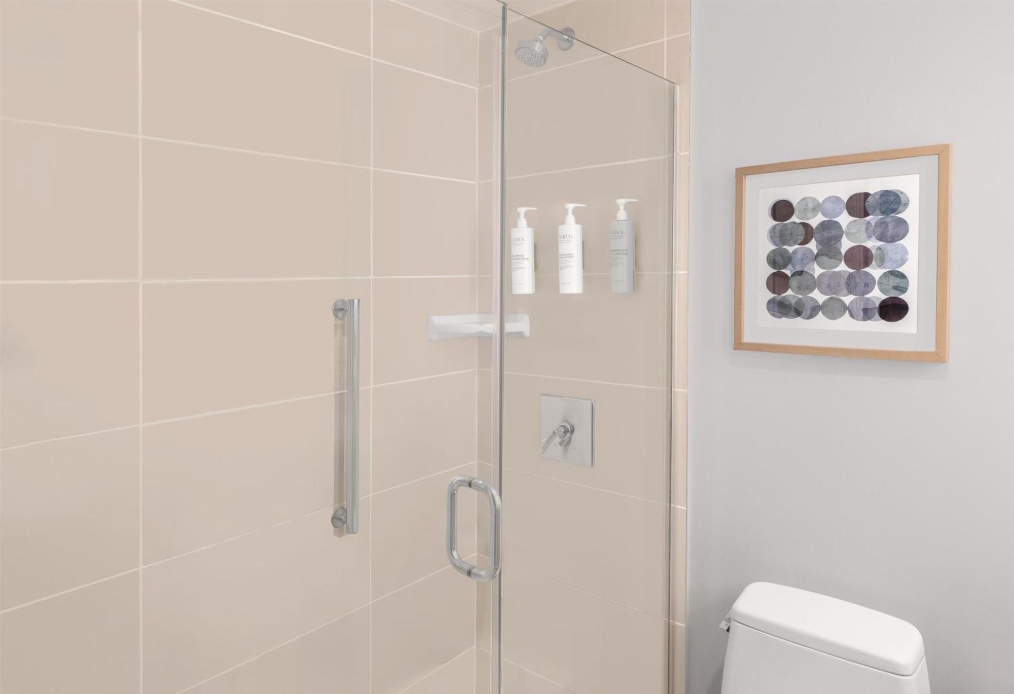 King Room Roll Shower Mobility Hearing Access