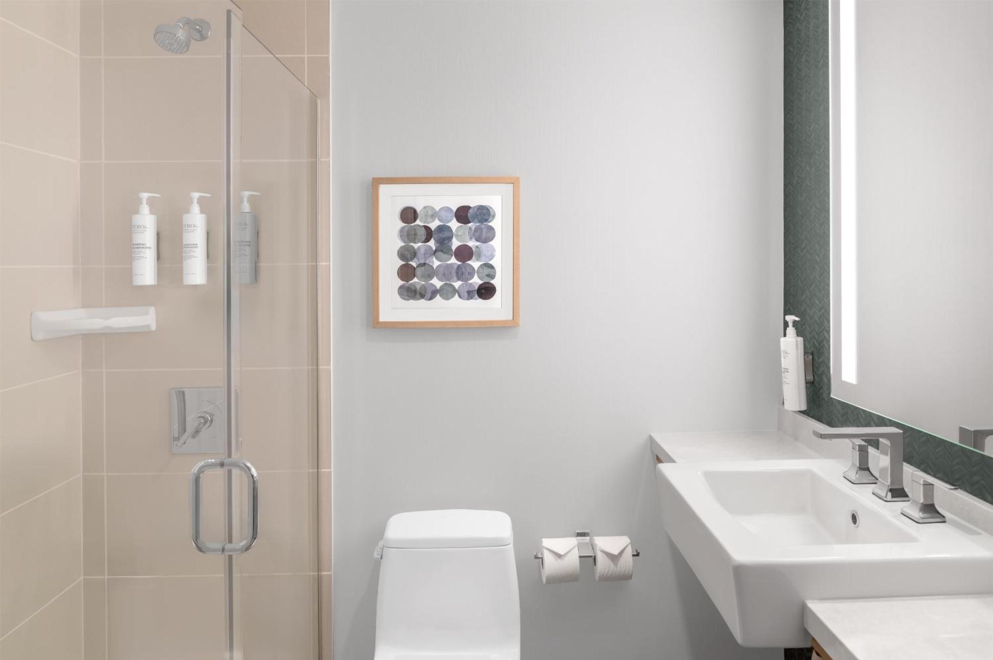 King Room Roll Shower Mobility Hearing Access