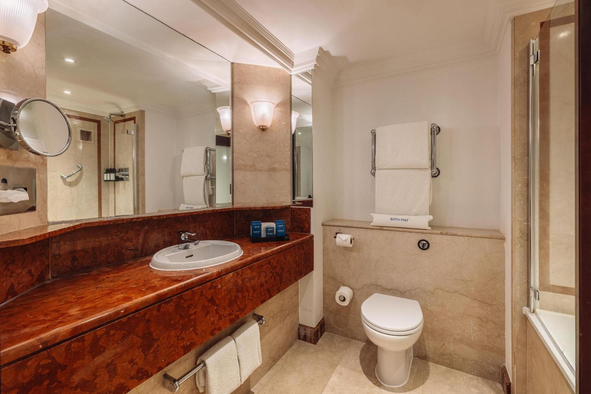 Superior Double Room London Eye View