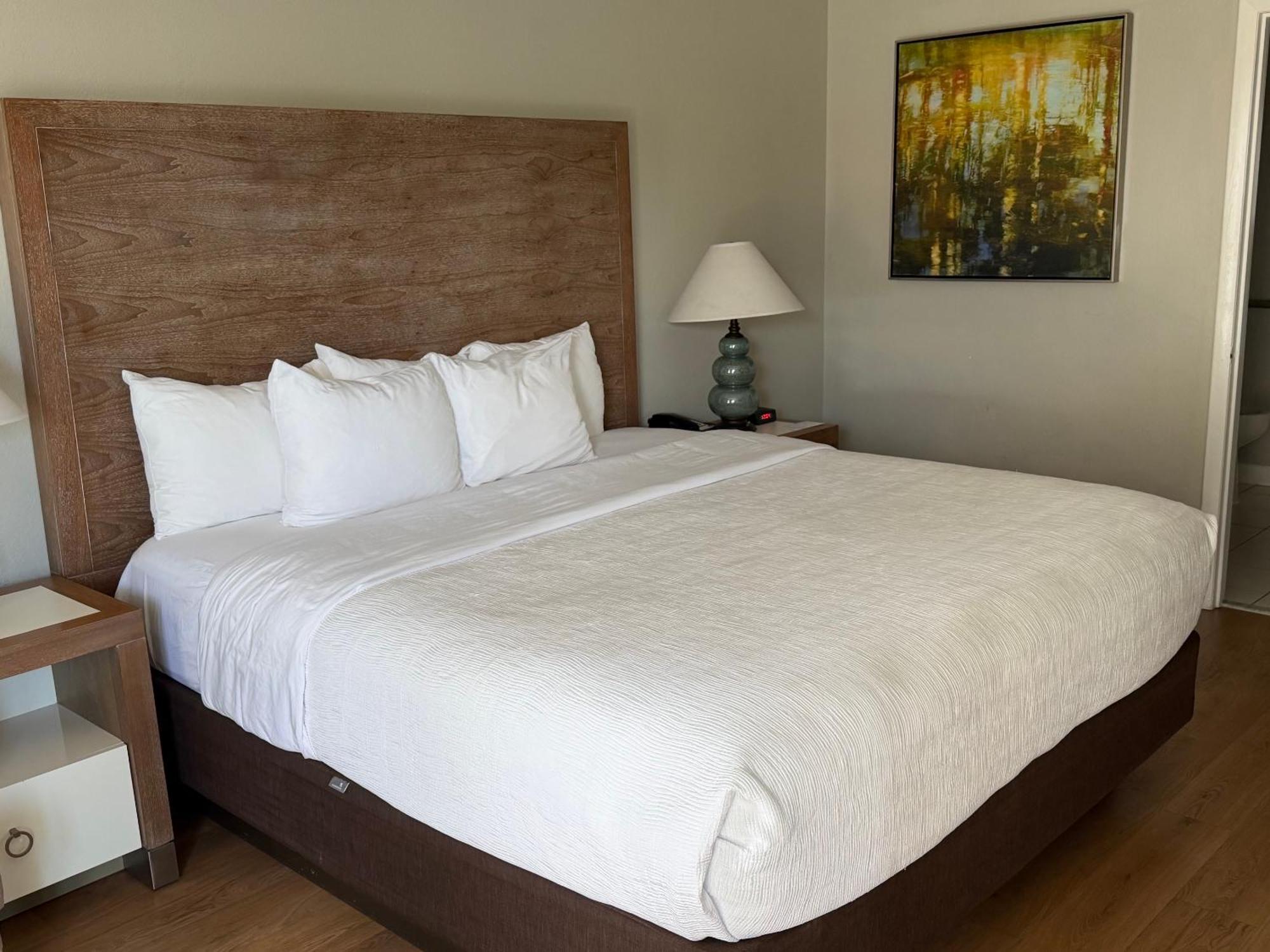 One King Bed Accessible Non Smoking