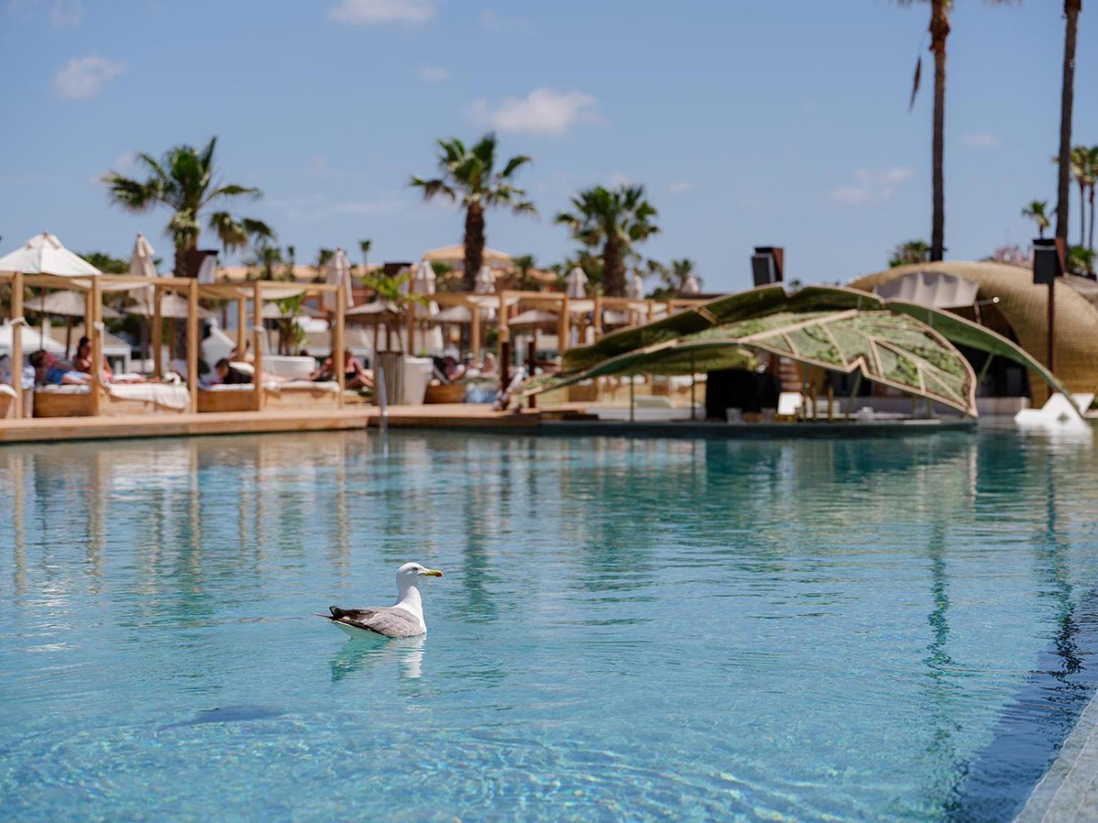 Suite Pool View