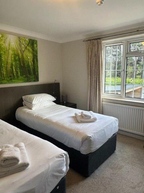 Standard Double or Twin Room,1771931351:JPEG
