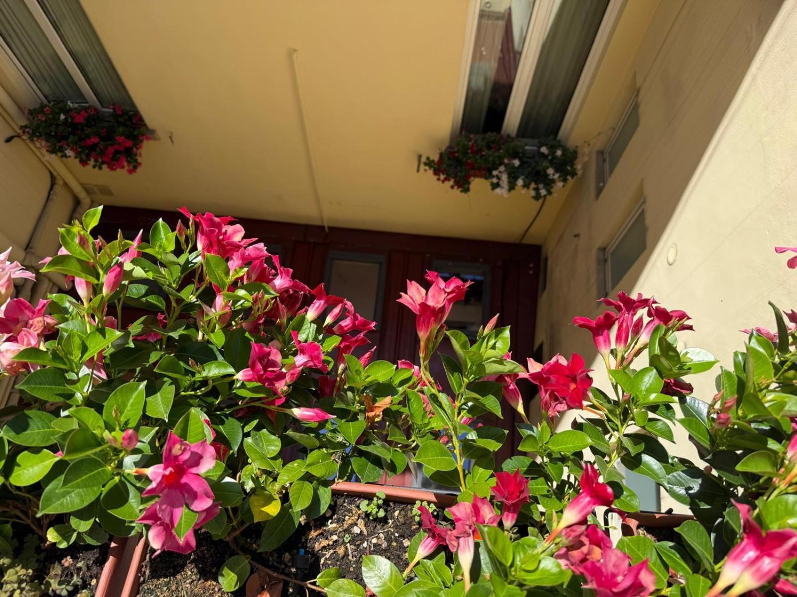 Standard Triple Room Separate Building