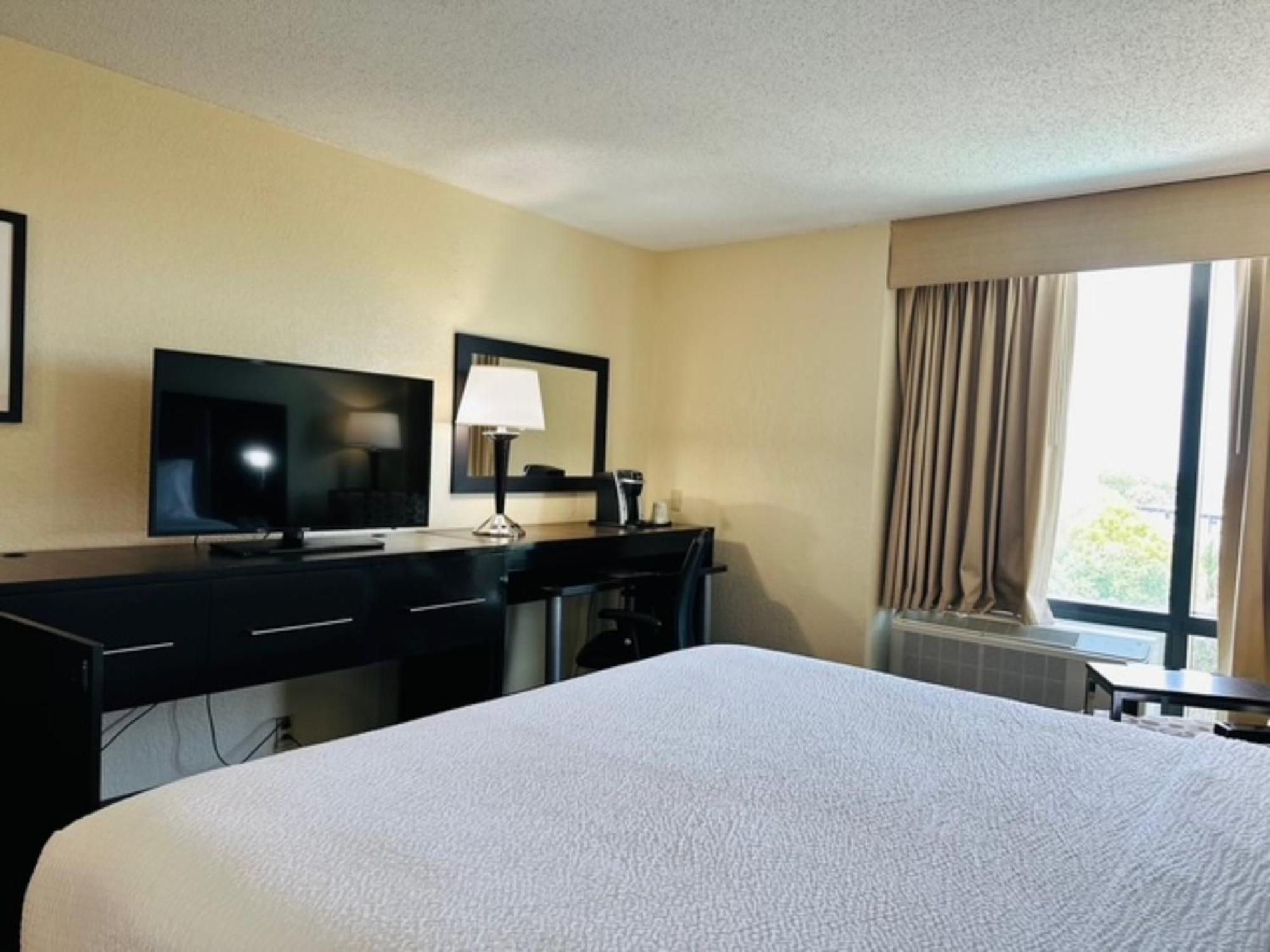 Chambre Lit King-Size Adaptée aux Personnes Malentendantes - Douche Accessible en Fauteuil Roulant