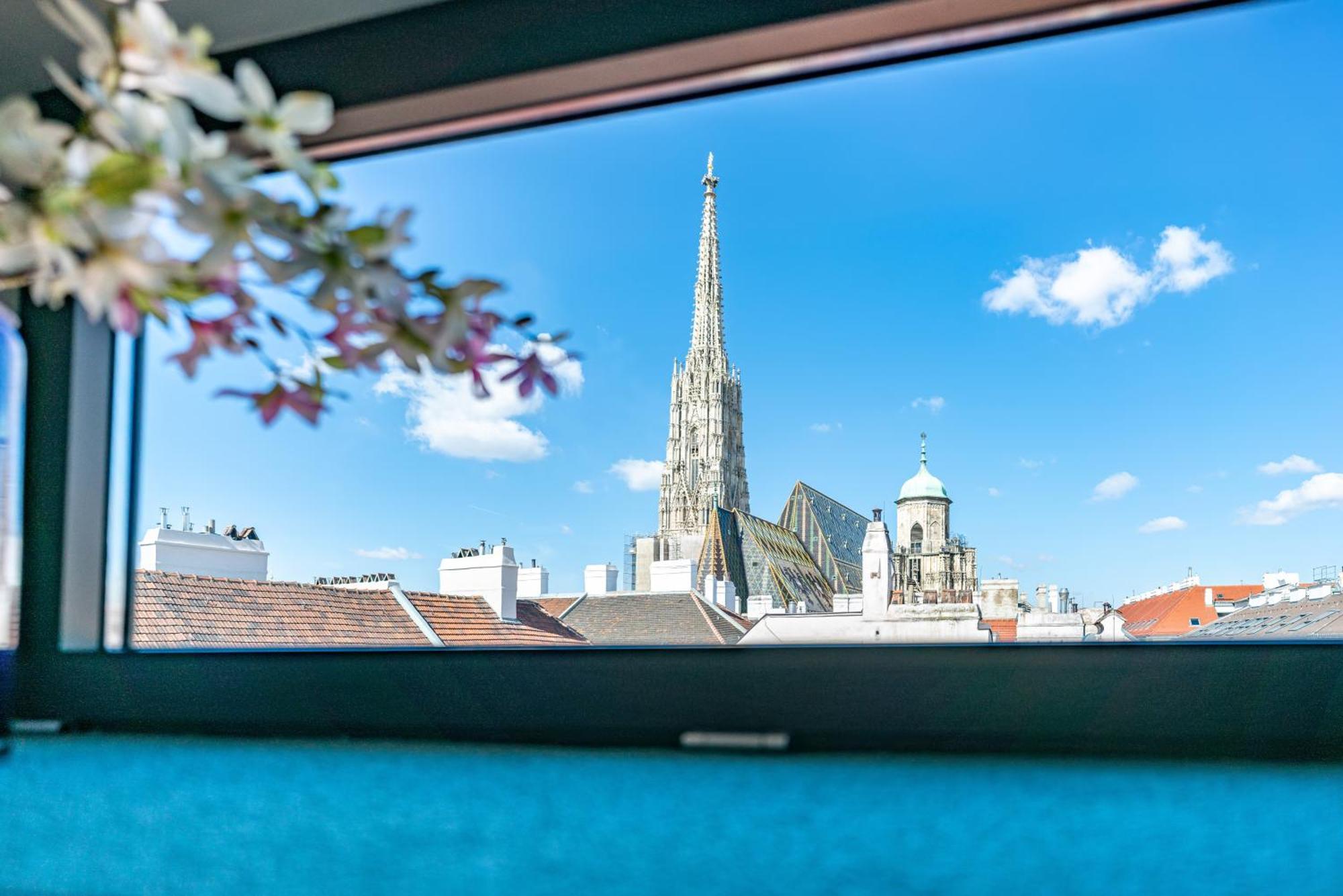 Suite Terrace