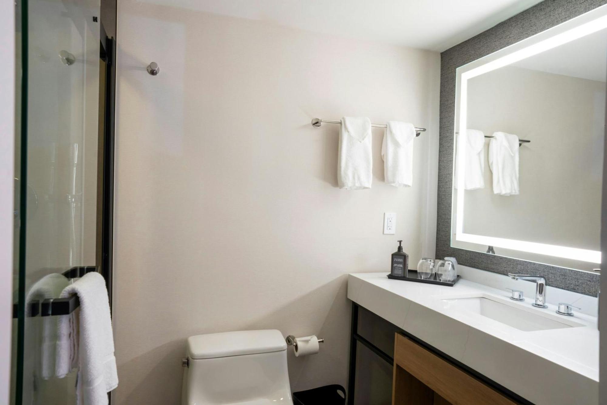 King Room Roll Shower Mobility Hearing Accessible