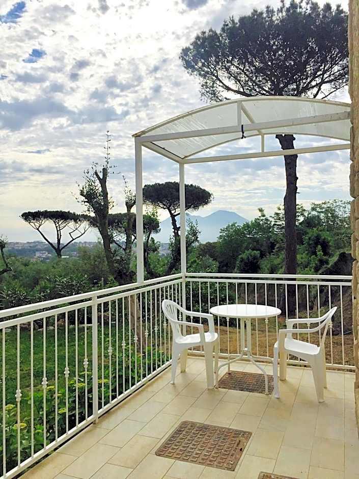 Studio Garden View