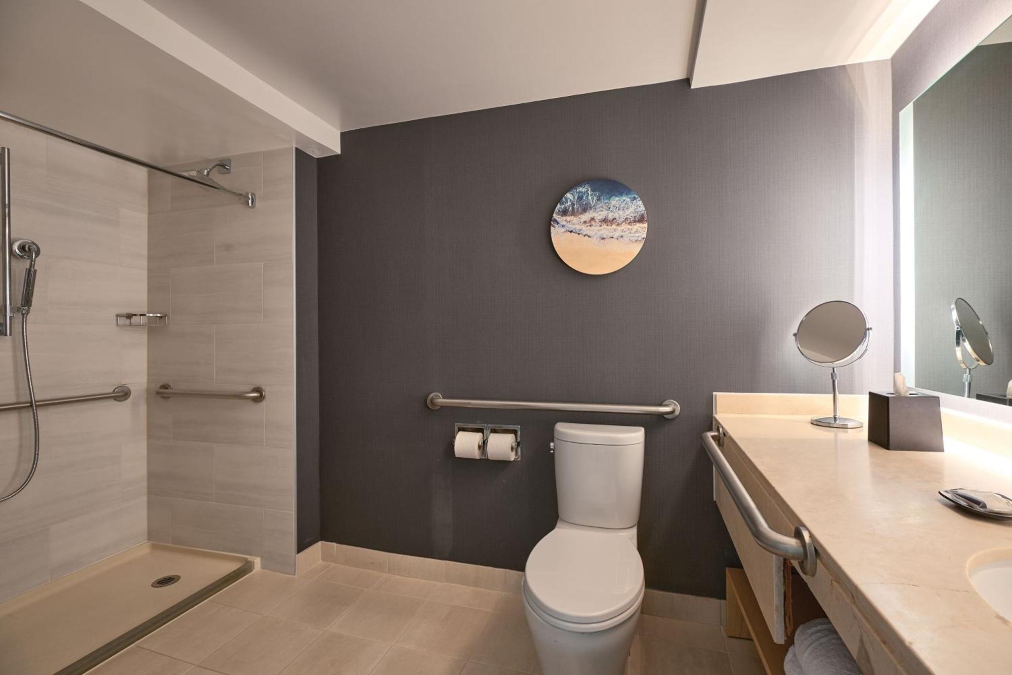 Deluxe Guest room 1 King