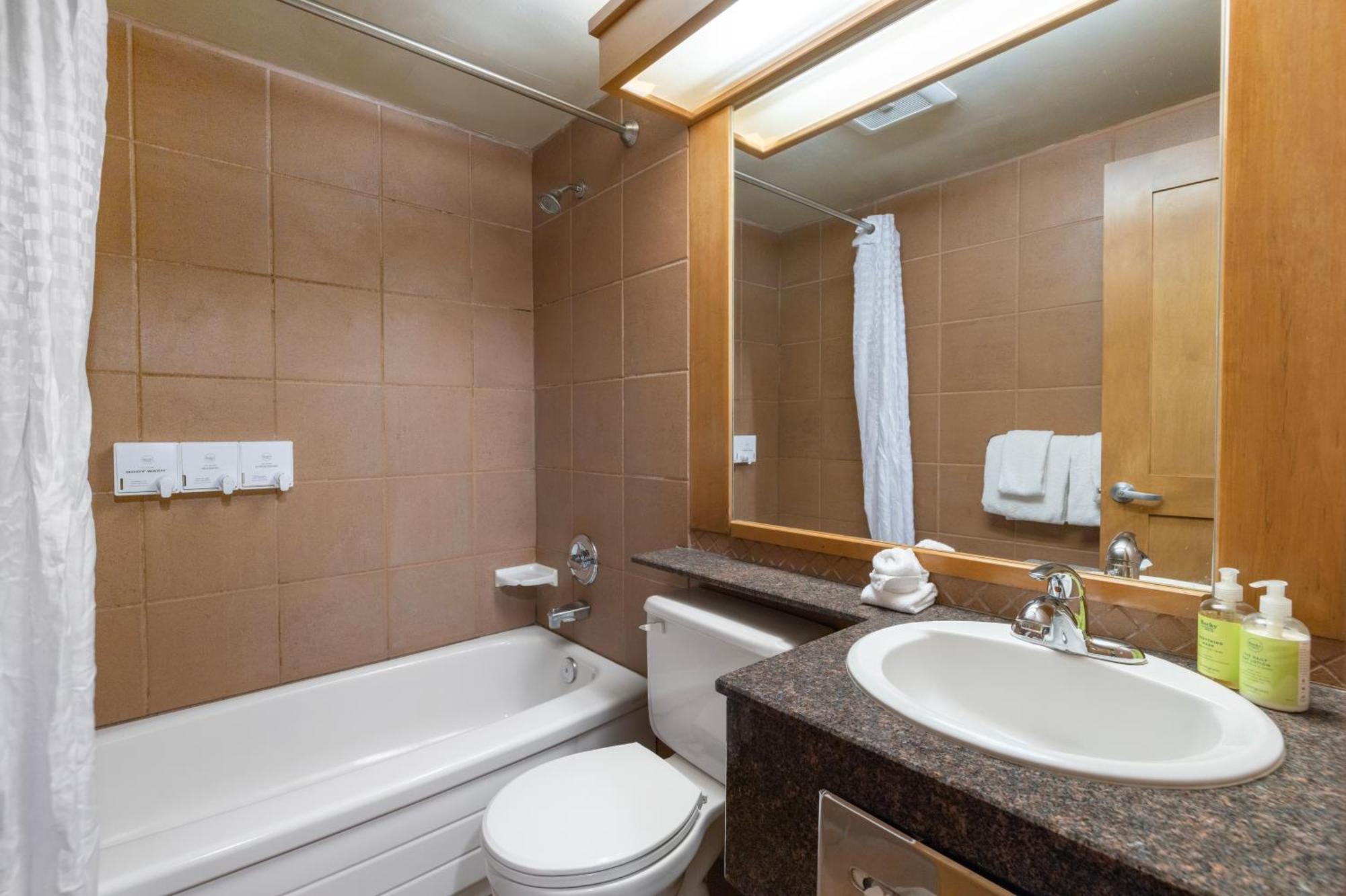 Deluxe Apartment mit 1 Schlafzimmer und 1 Queensize-Bett