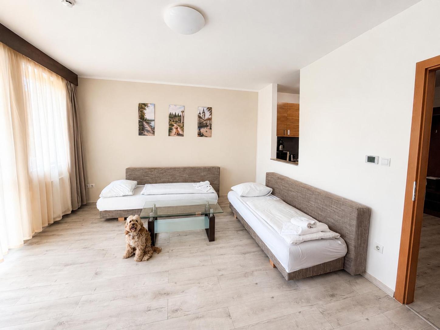 Superior One-Bedroom Apartment Air-conditioning