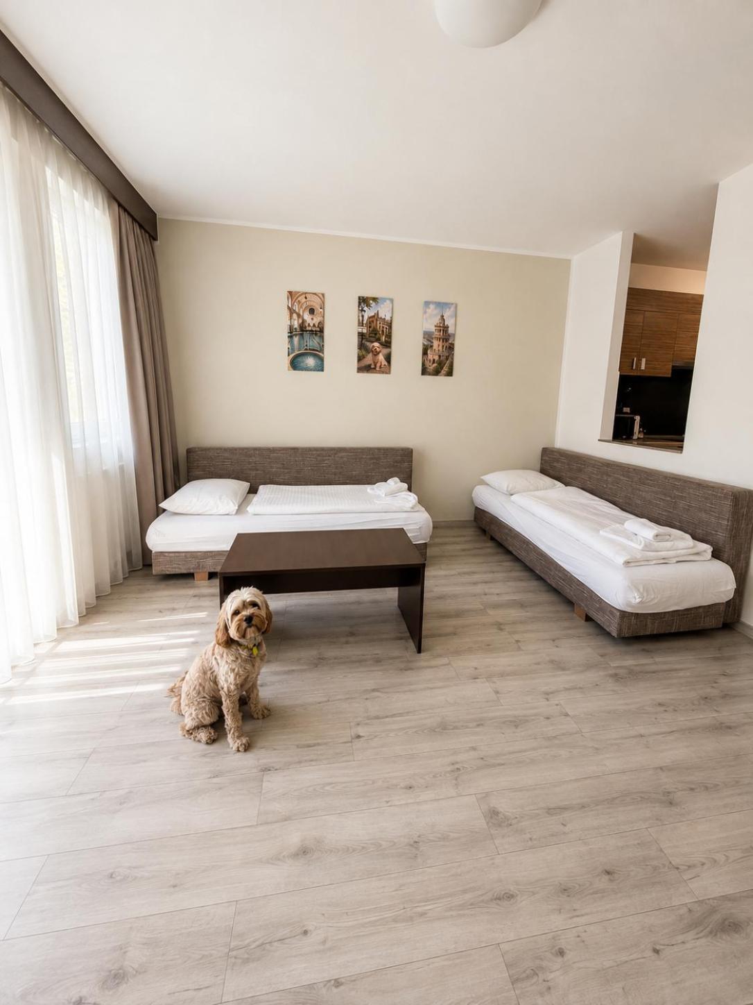 Superior One-Bedroom Apartment Air-conditioning
