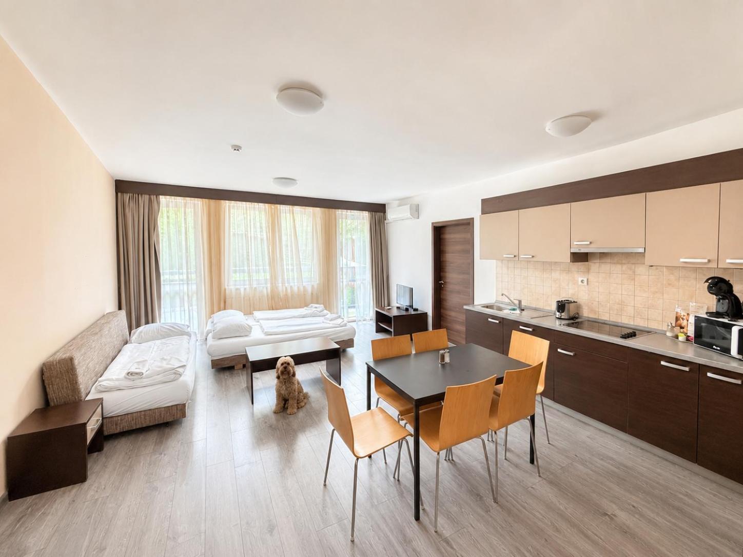 Deluxe Two-Bedroom Apartment Air-conditioning
