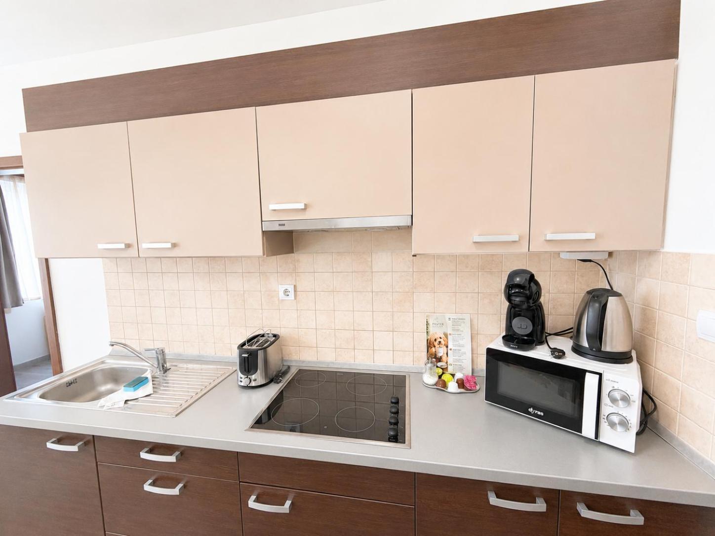 Deluxe Two-Bedroom Apartment Air-conditioning