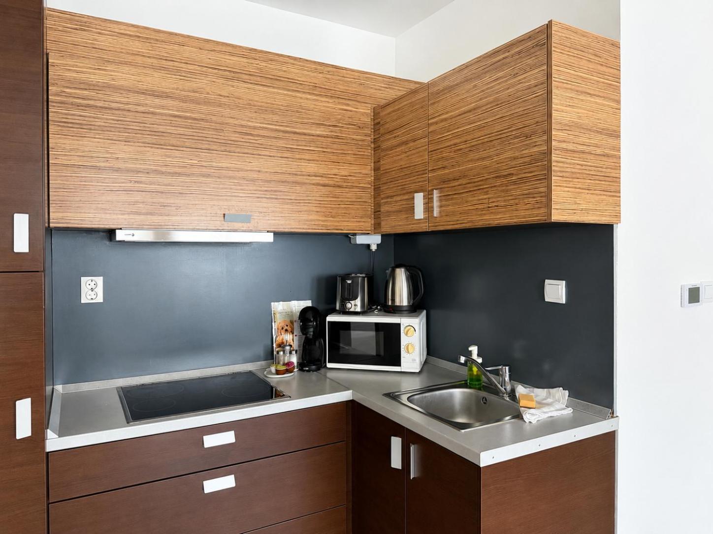 Superior One-Bedroom Apartment Air-conditioning