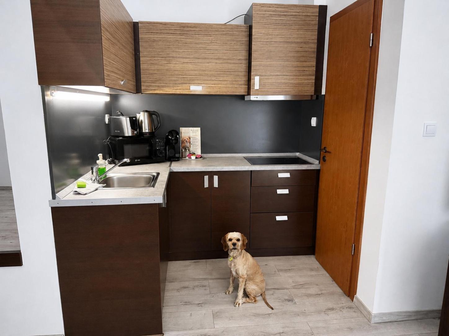 Deluxe Two-Bedroom Apartment Air-conditioning