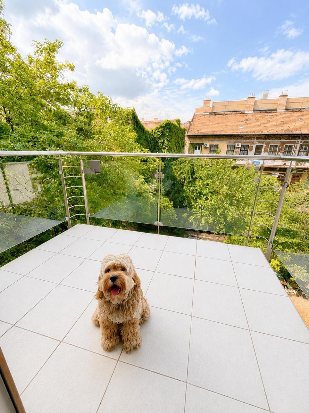 Superior One-Bedroom Apartment Air-conditioning