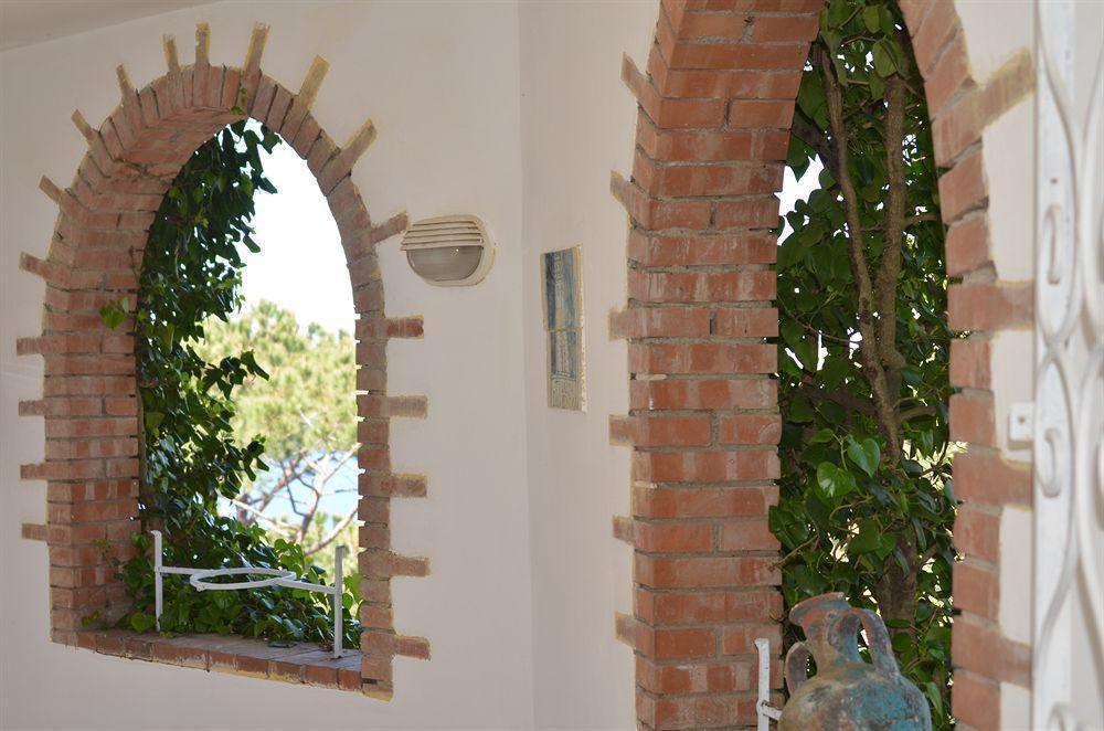 Standard Double Room,451363707:JPEG