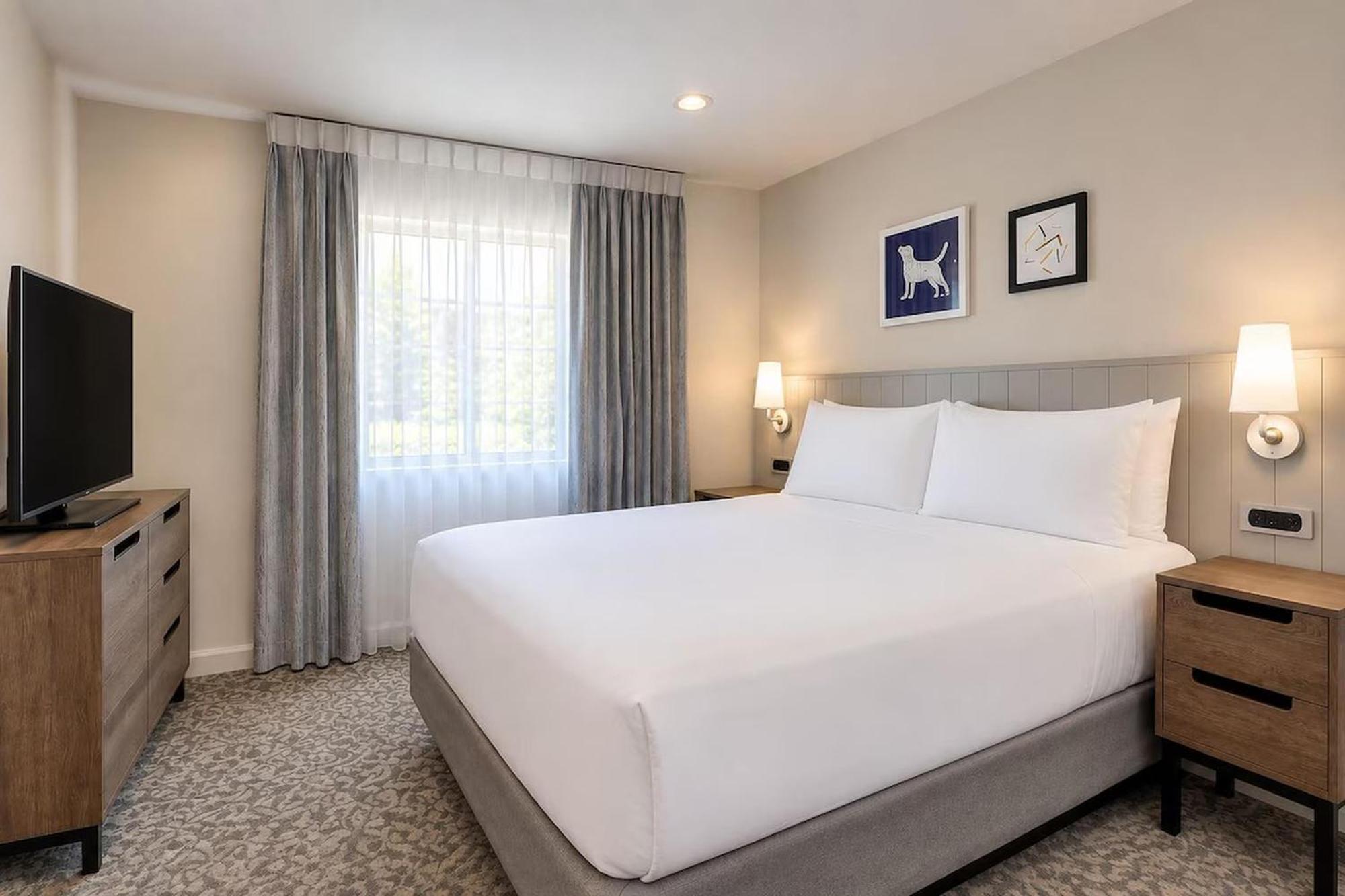One-Bedroom Queen Suite