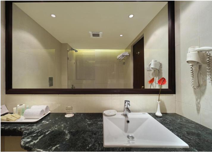 Deluxe Double Room bathtub