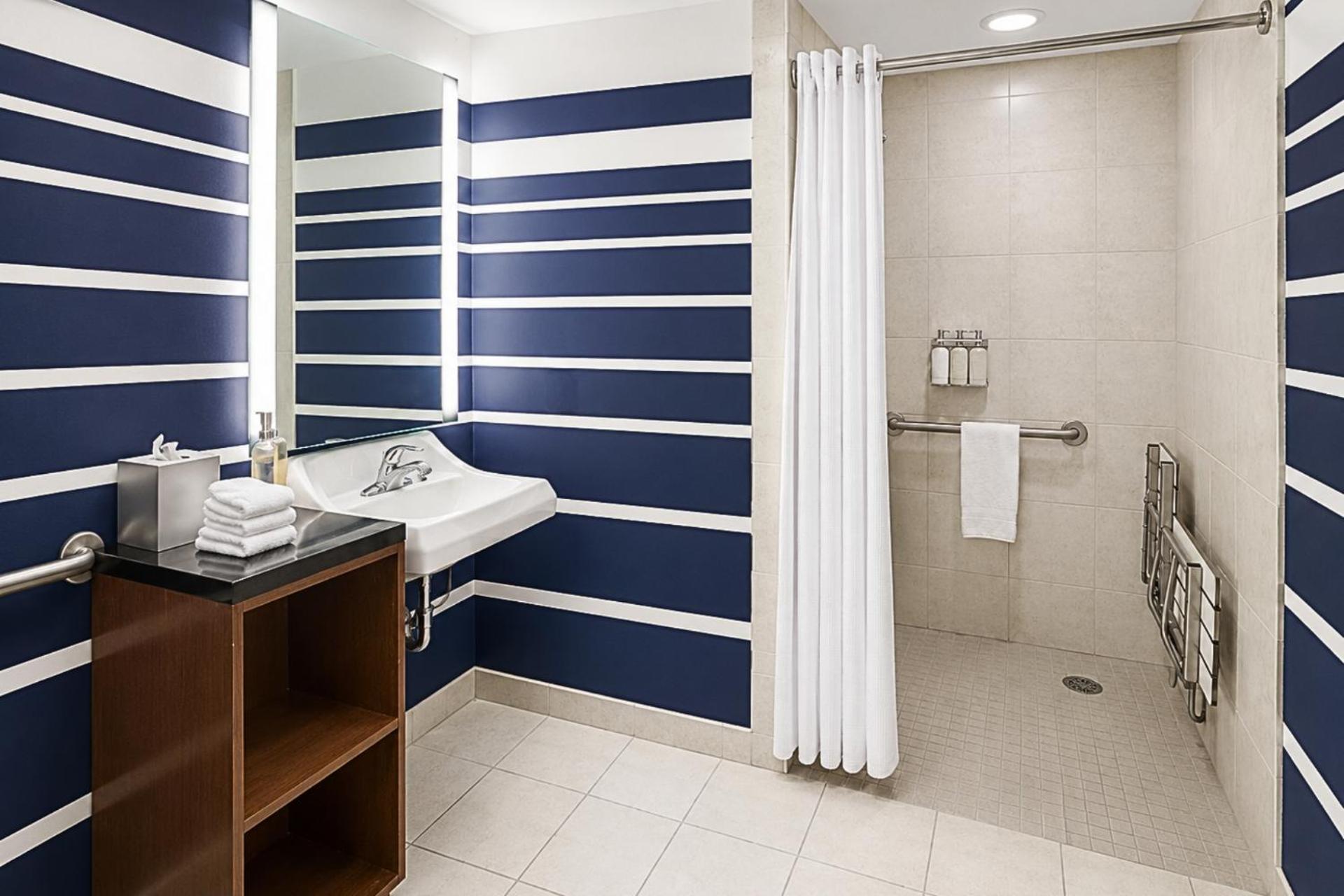 King Room Roll Shower Disability Access