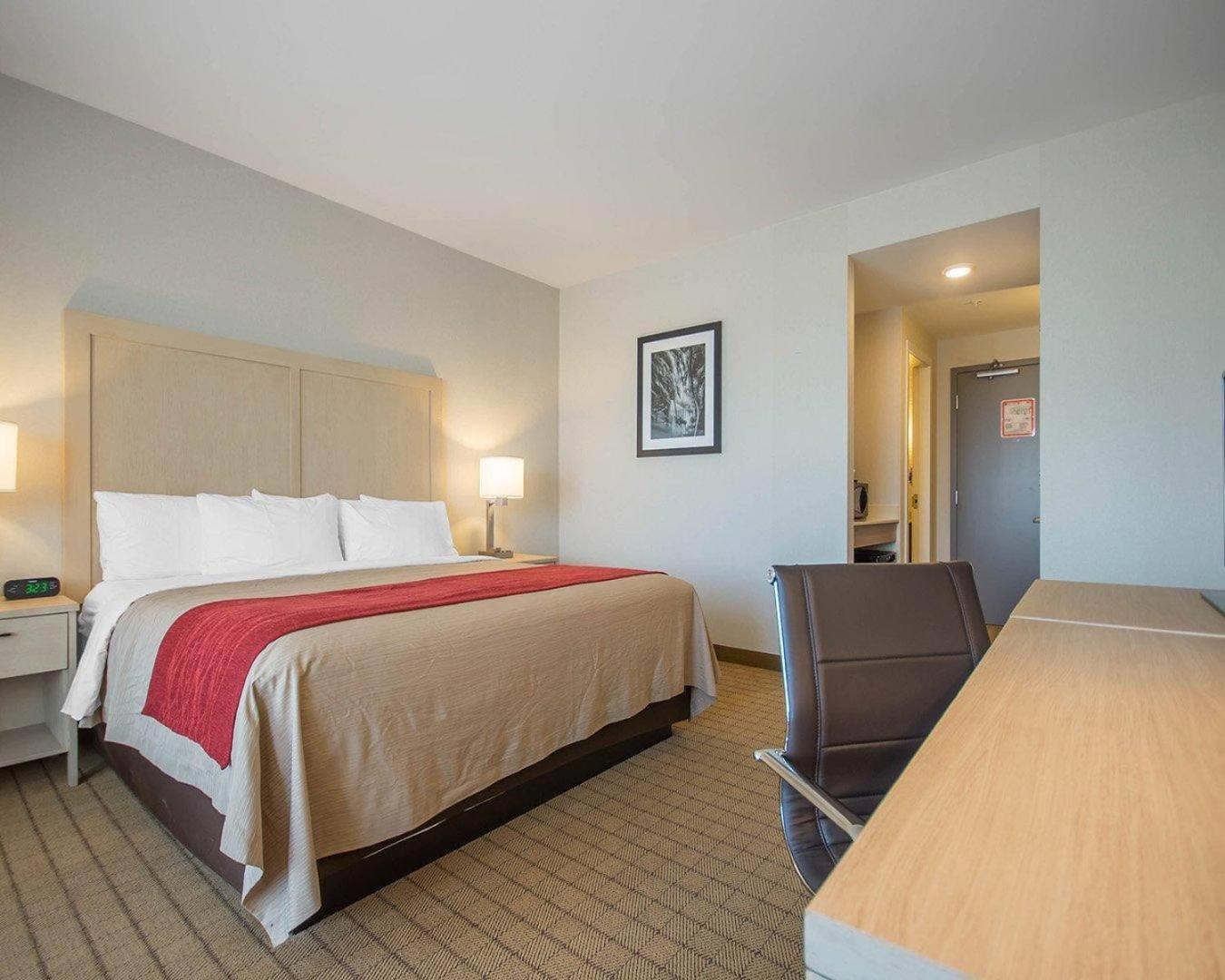 Standard King Room