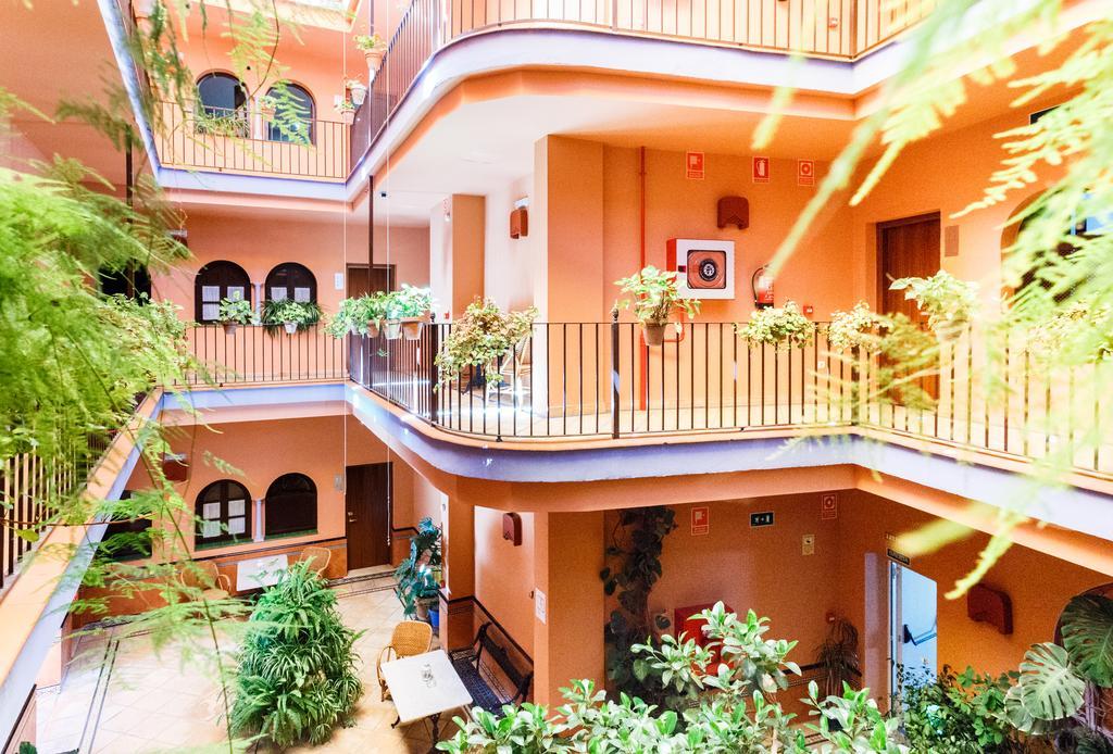 Chambre Familiale (2 Adultes et 2 Enfants)