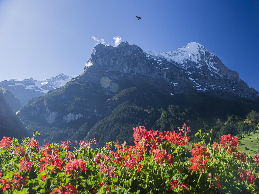 Small Double Room Eiger View,1647717572:JPEG