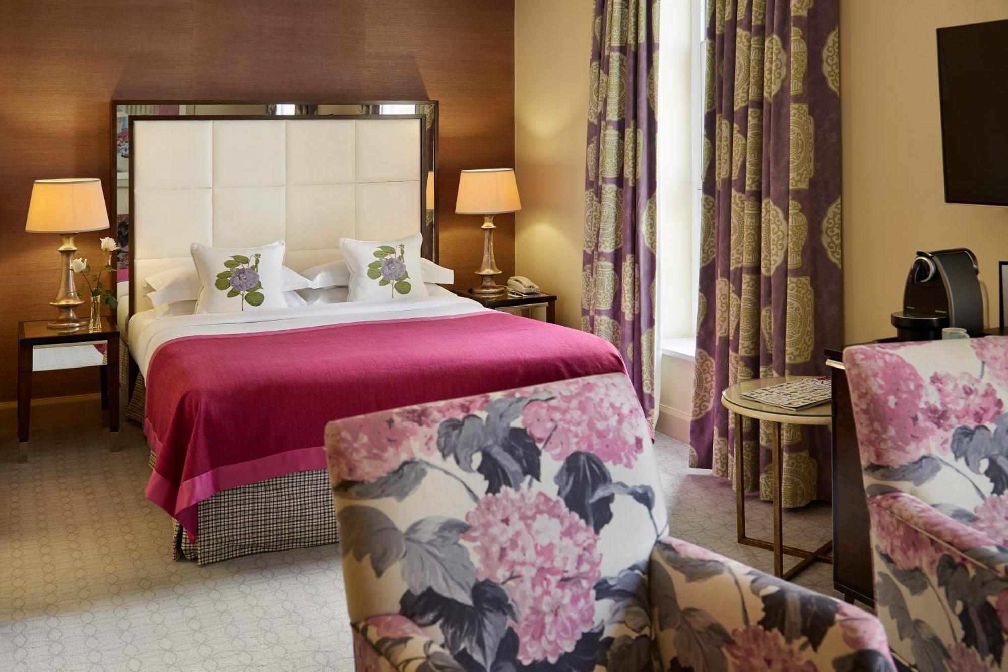 Superior Plus Room