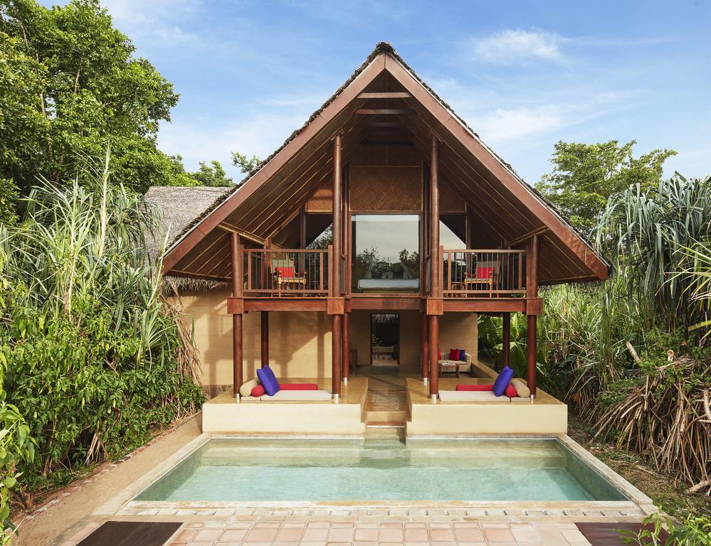 Forest Dwelling Pool