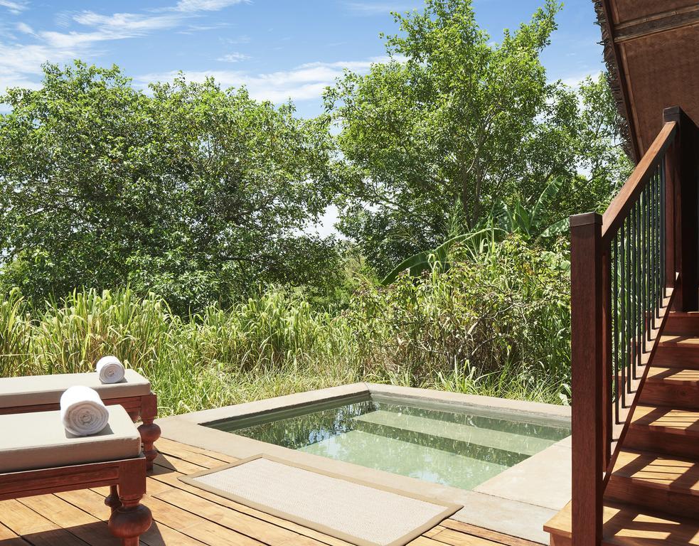 Paddy Dwelling Pool