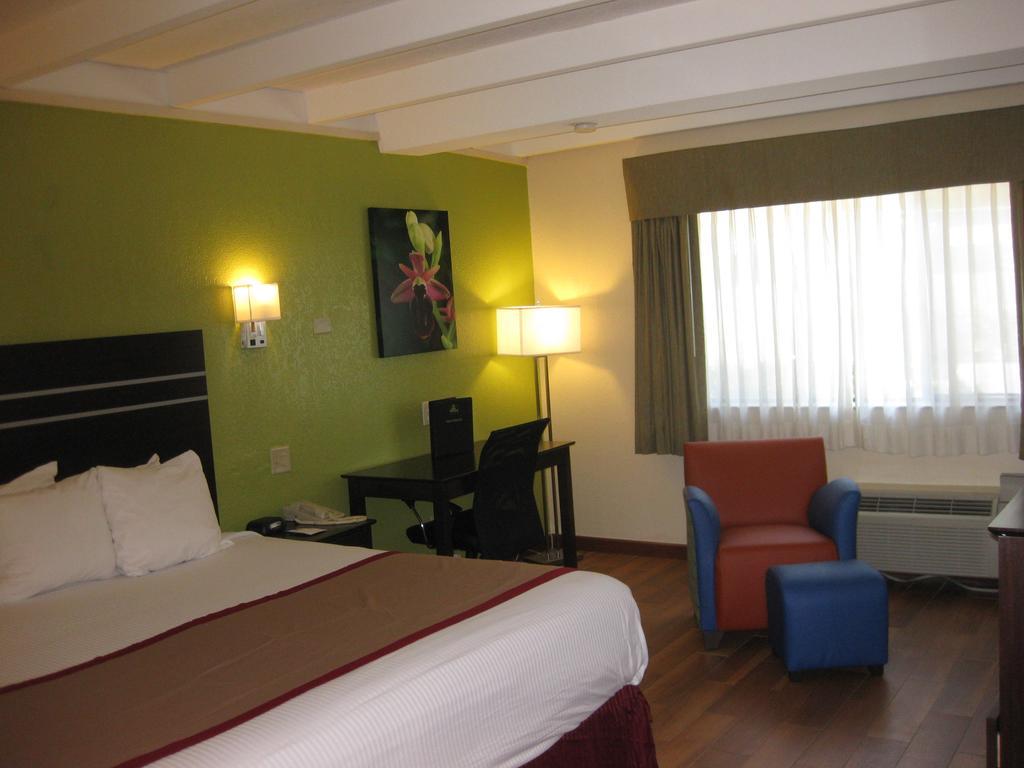 King Room - Non-Smoking