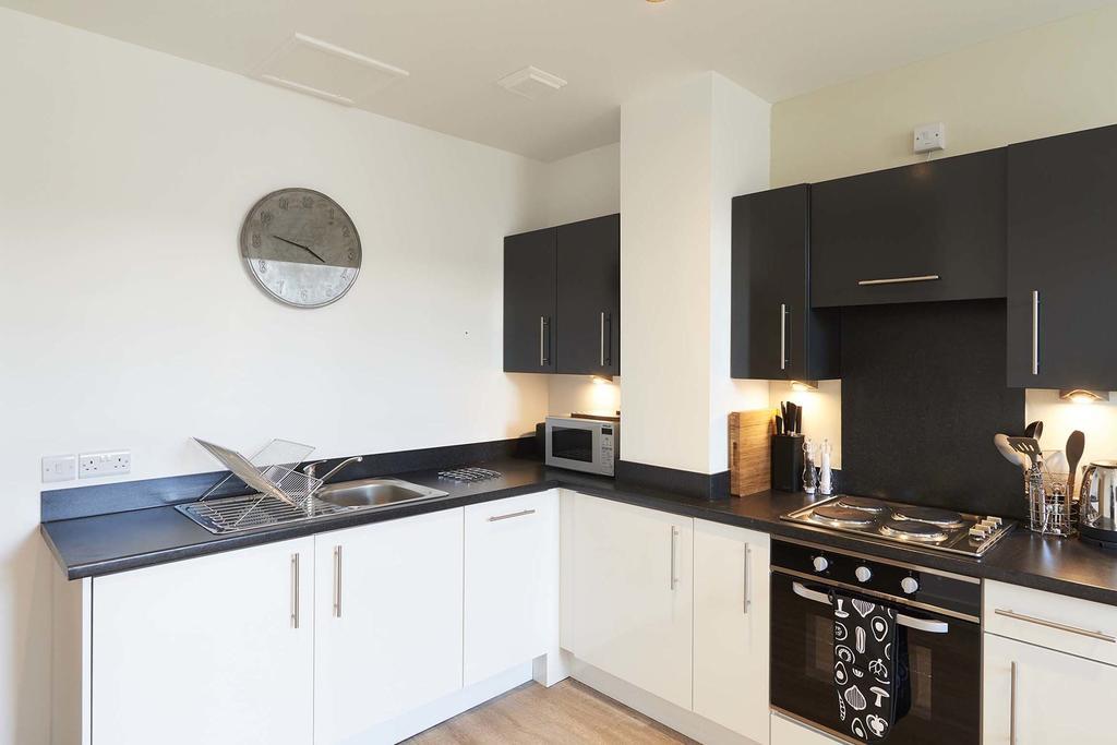 Studio Apartment,388931873:JPEG