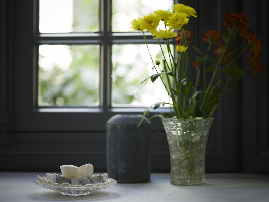 Junior Suite met Eigen Terras