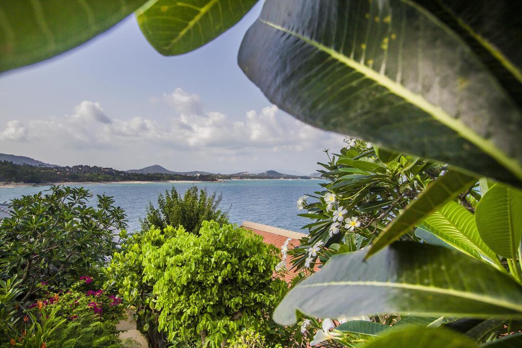 Ocean front deluxe 2 bedroom villa