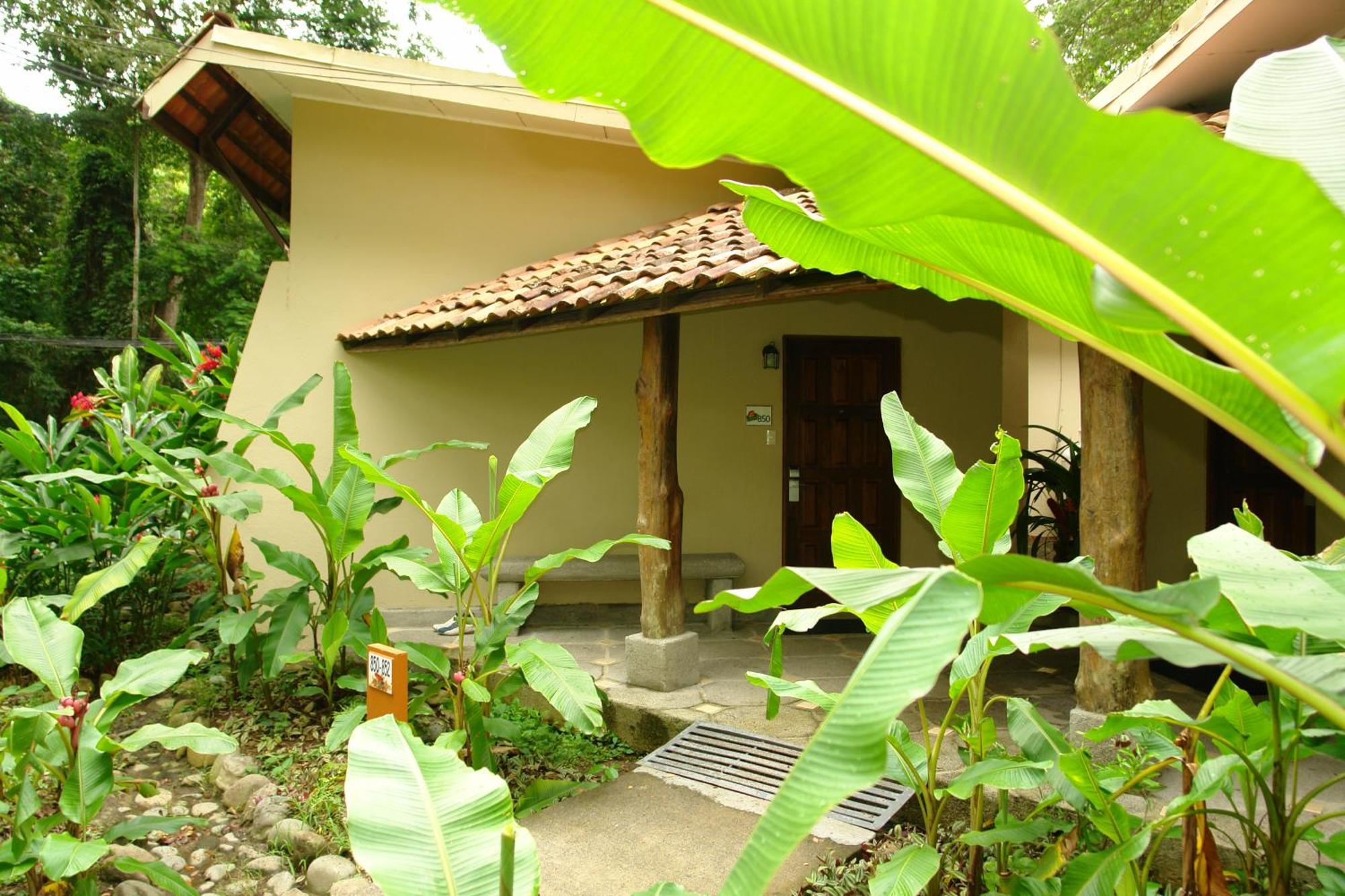 Standard Twin Room (800 mts from the beach)