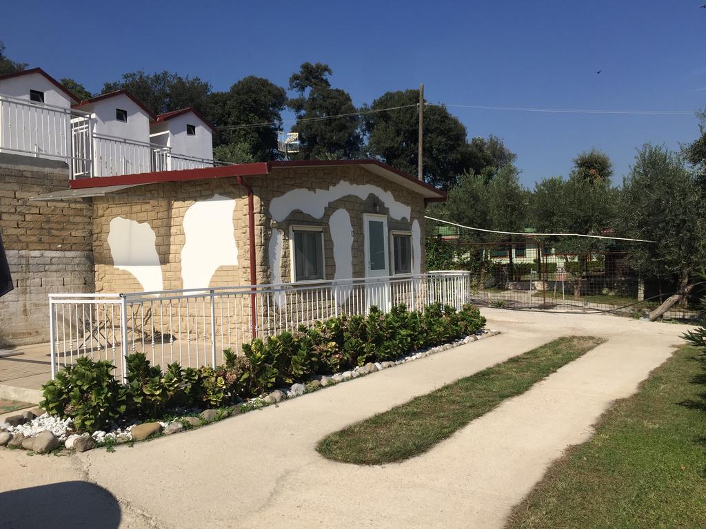Studio Terrace