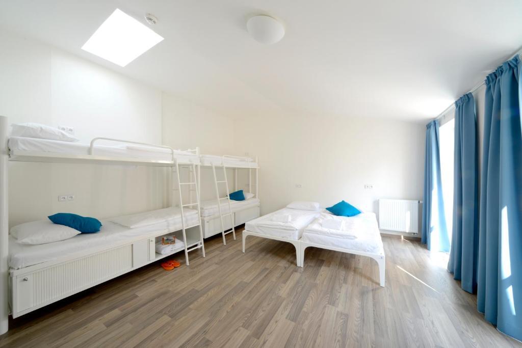 Bed 7-Bed Mixed Dorm Ensuite